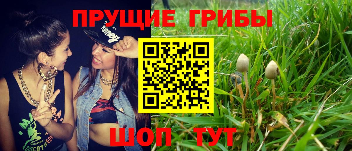 Галлюциногенные грибы Magic Shrooms Свободный